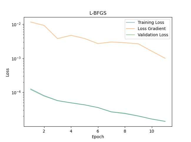 Initial convergence with the Adam optimizer.